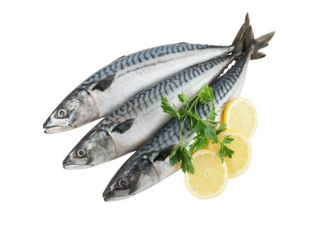Cá SaBa - Lê Gia Foods - Công Ty TNHH Thực Phẩm Lê Gia